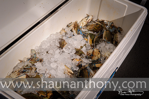 Brenda Stovall's 81st Birthday Crabfeast-0002
